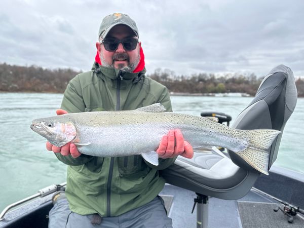 Brookdog Fishing Company