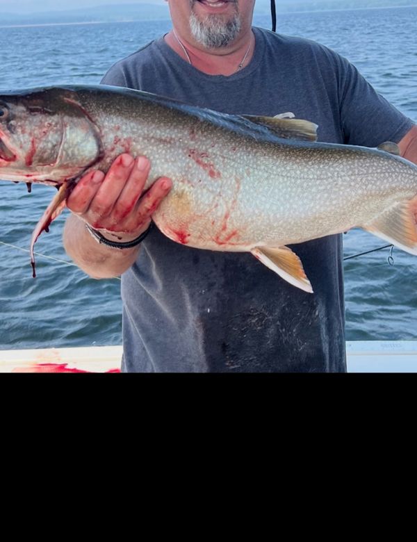Irish Raider Outfitters LLC