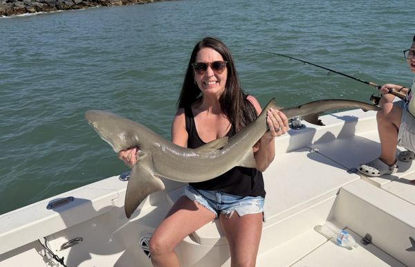 All Points Guide Service