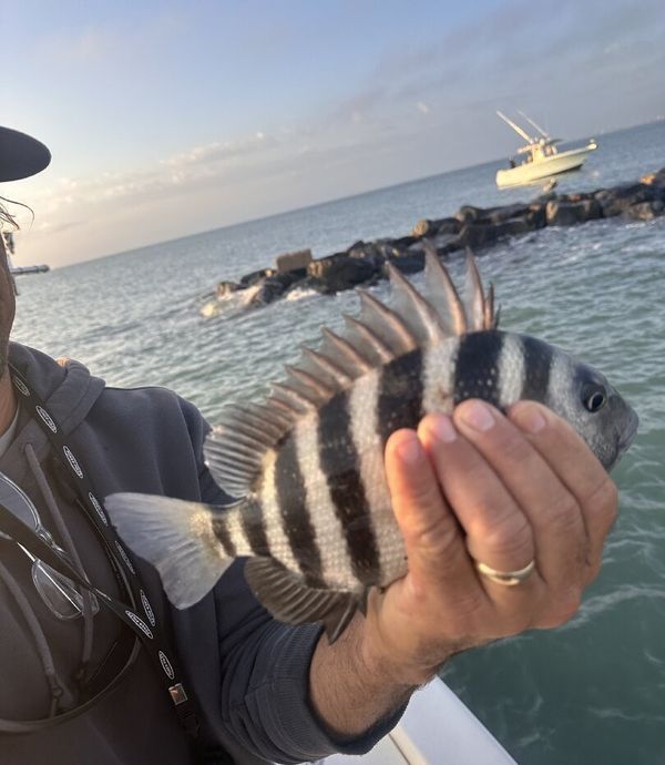 All Points Guide Service