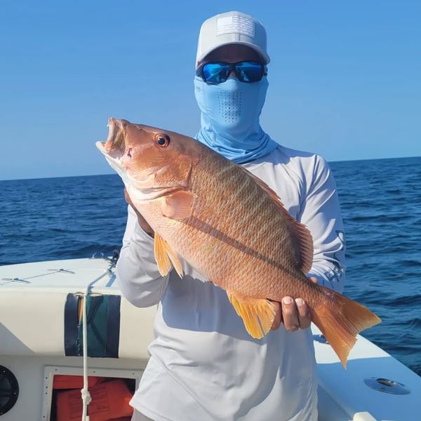  Scales & Tails Saltwater Adventures