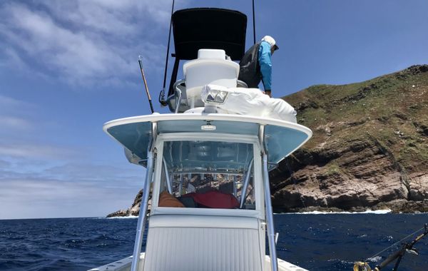 Reel Deep Sportfishing