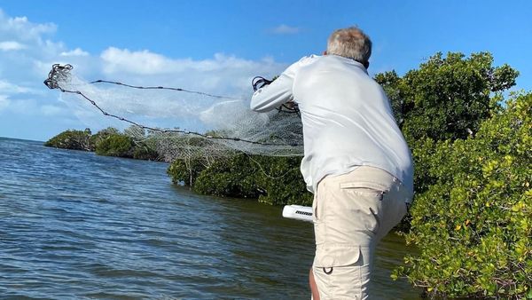 Fish-X-TC Charter Fishing Experience