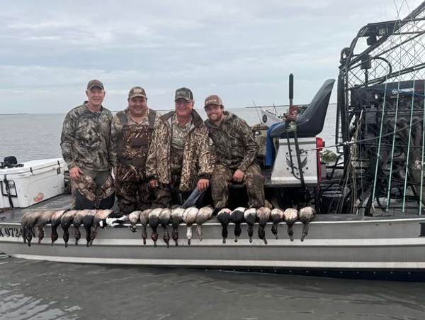Bay Feather Outfitters