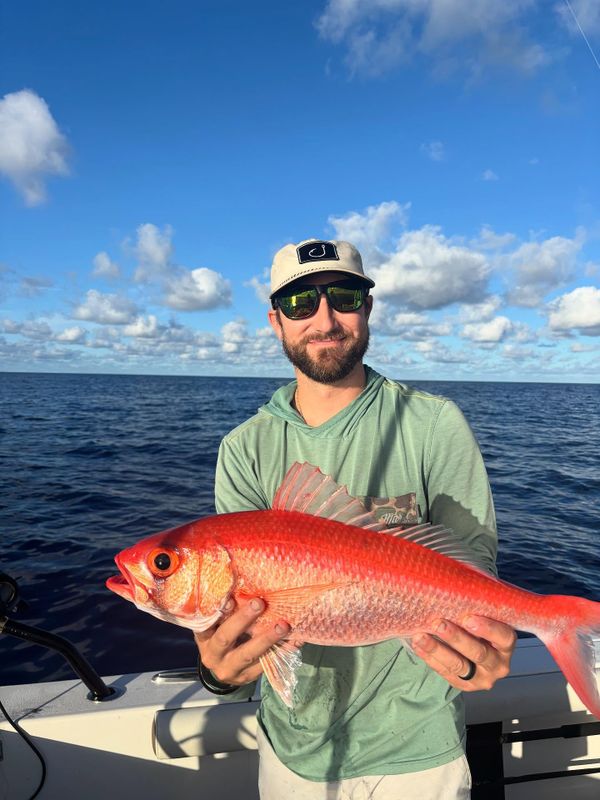 Reel Vermont Guide Service