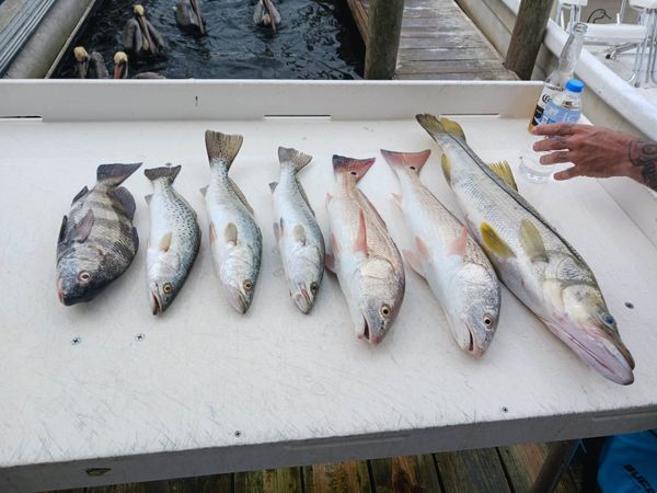 Early Bird Charters