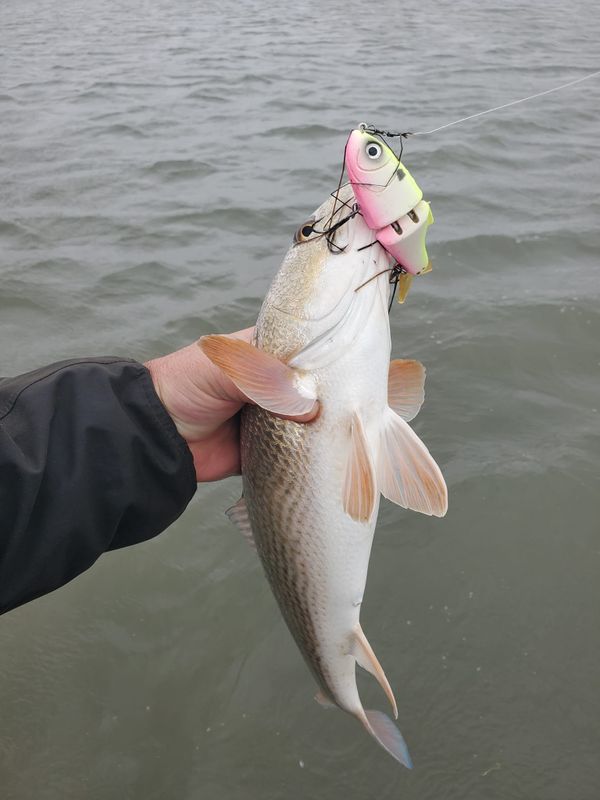 Waist Deep Guide Service