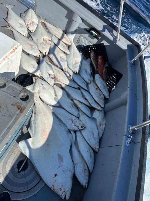 Saltwater Safari Company