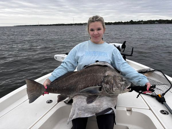 321FISH LLC
