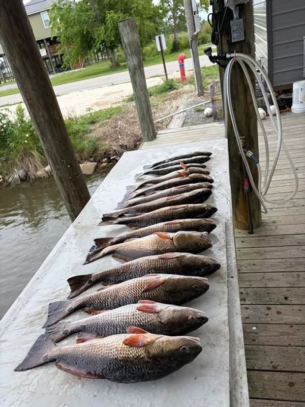 Performance Fishing Charters