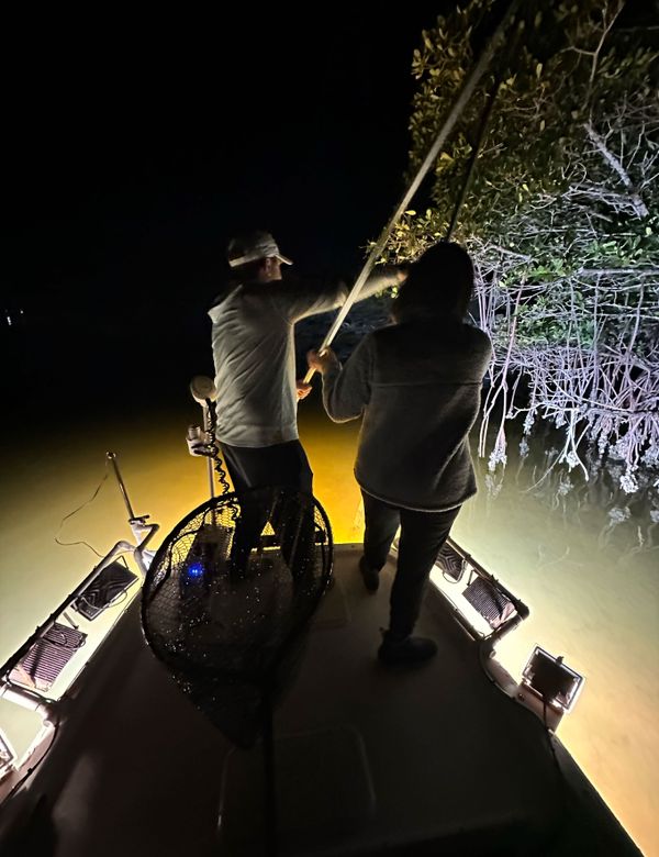 Shrimp Slingers Fishing & Gigging Charters 