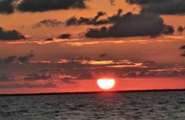 Backlash Fishing Charter