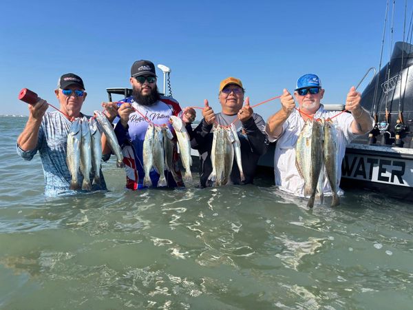 Saltwater Therapy Guide Services