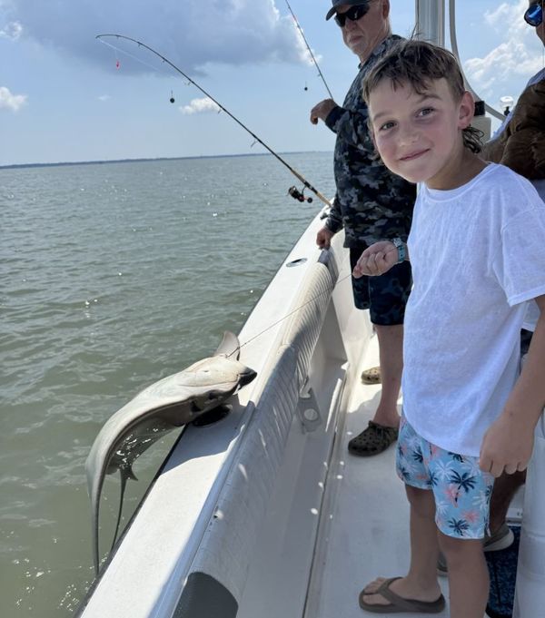 Shore Chaos Charters