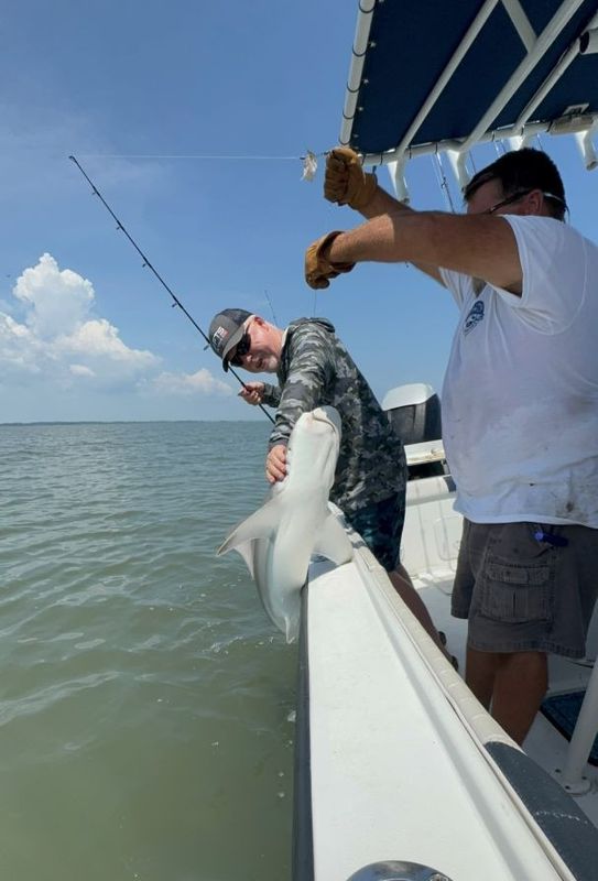 Shore Chaos Charters