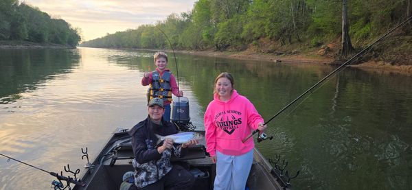 Southern Sun Guides