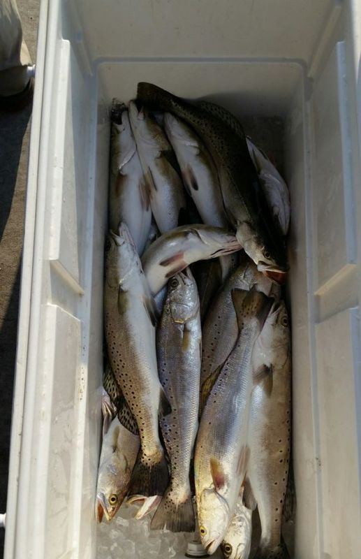 Back Bay Guide Service