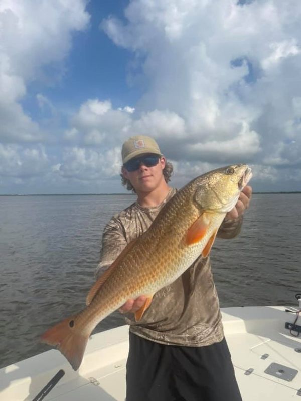 Louisiana Livin Adventures