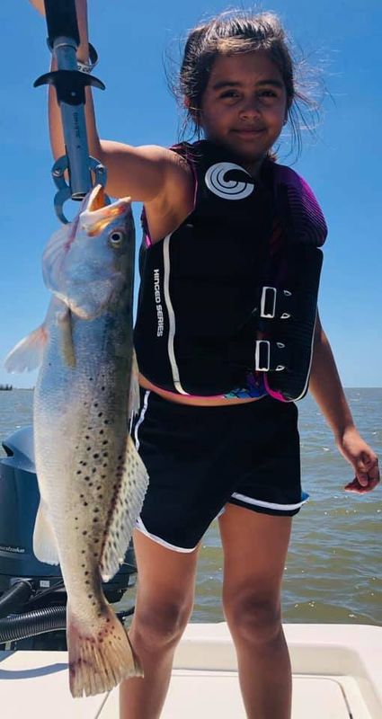 Louisiana Livin Adventures
