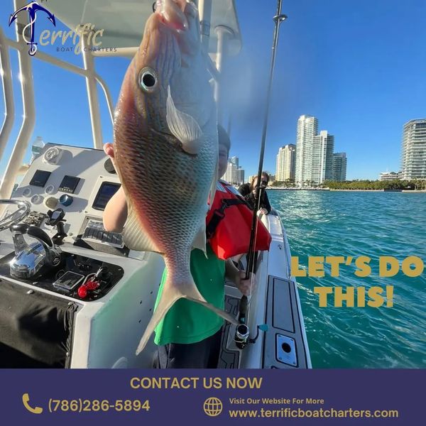 Terrific Boat Charters