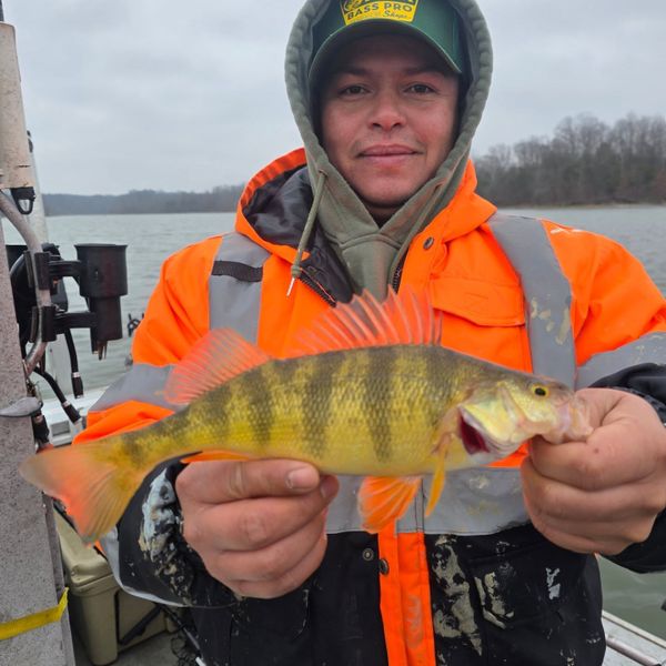 River Jet Outfitters