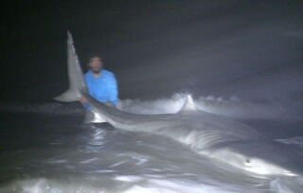 Charleston Shark and Surf Fishing