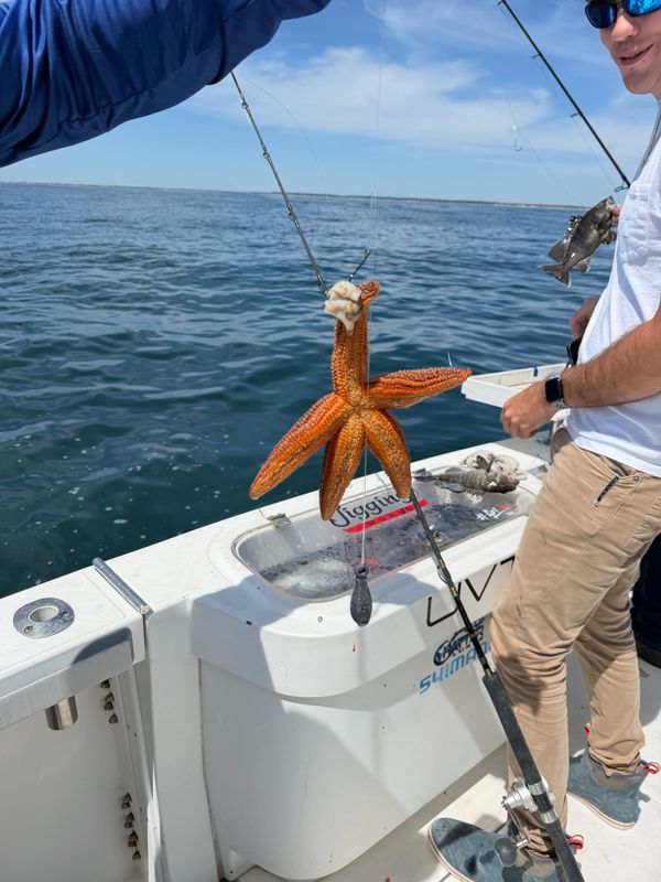 Smokin Reel Charters