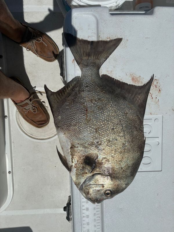 Casting Horizon Fishing Charter VA