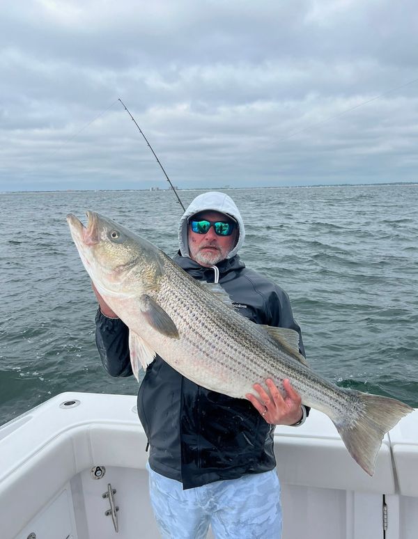 Reel C Charters
