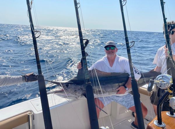 Reel C Charters