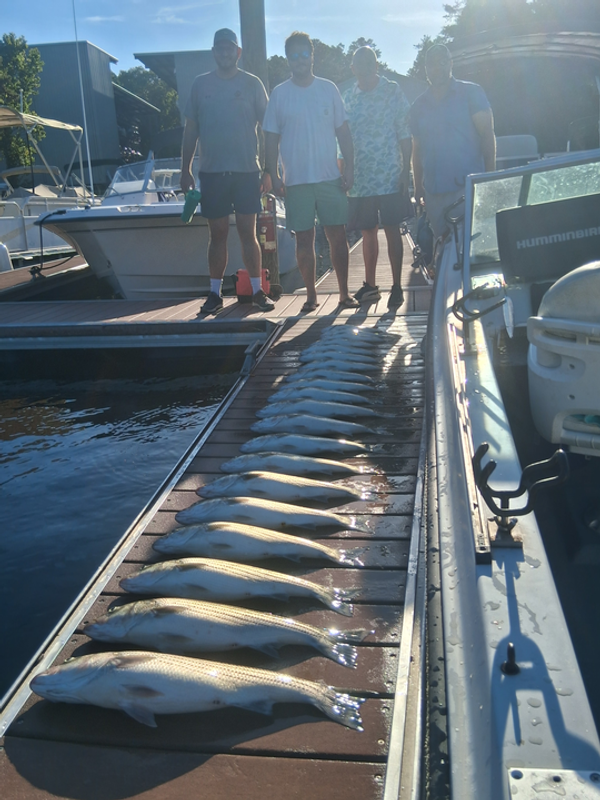 Hooked Up On Striper Guide Service