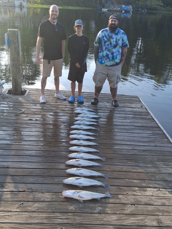 Hooked Up On Striper Guide Service