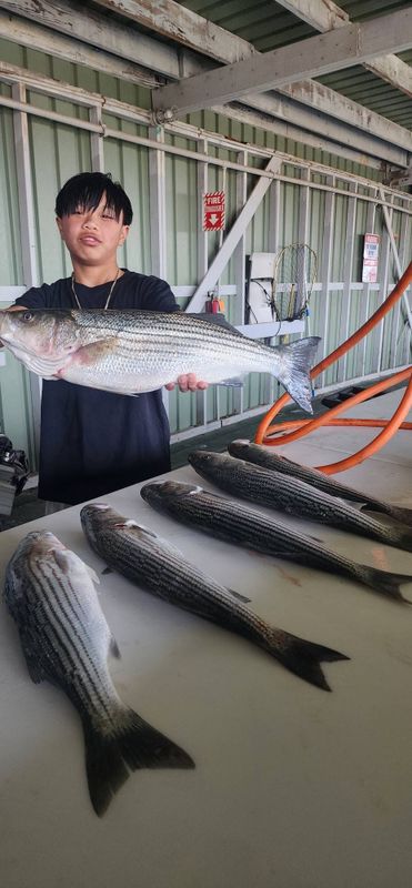 Addictive Sport Fishing