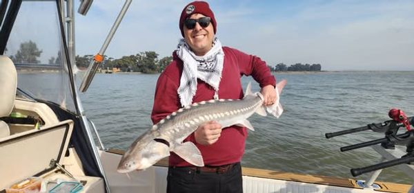 Addictive Sport Fishing