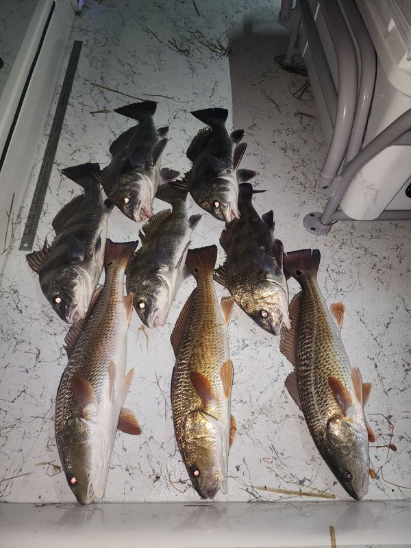 True Story Adventures Charter
