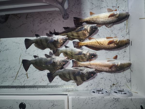 True Story Adventures Charter