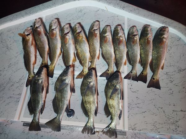 True Story Adventures Charter