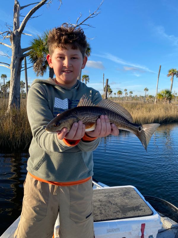 Apalachee Bay Inshore Charters