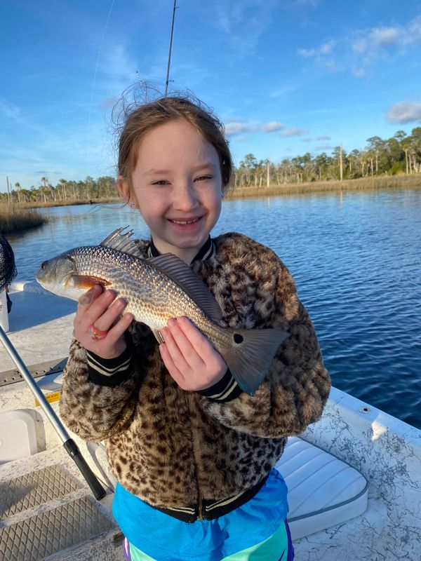 Apalachee Bay Inshore Charters