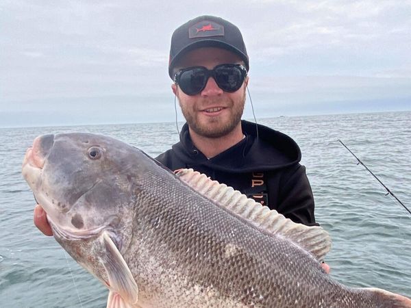 Aquila Sportfishing