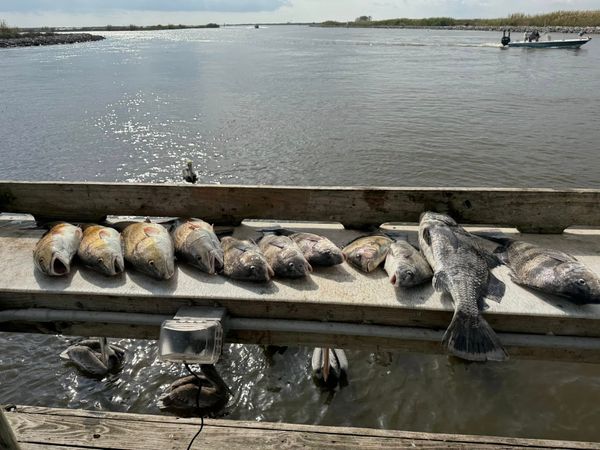 5 Eaux Fishing Charters