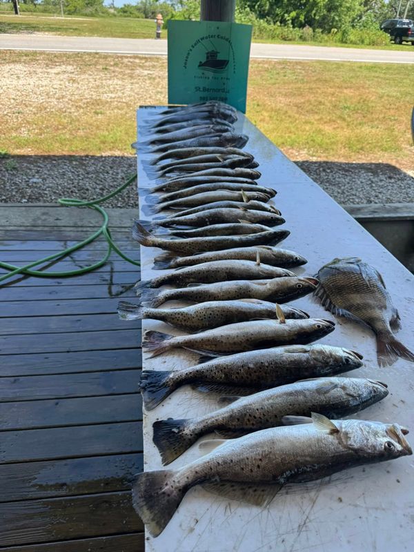 5 Eaux Fishing Charters