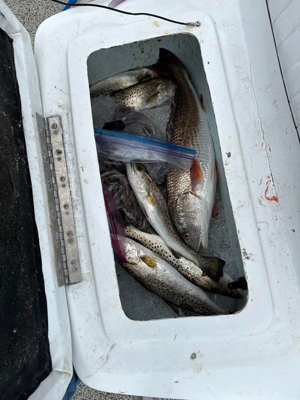 Angry Fish Inshore Charters