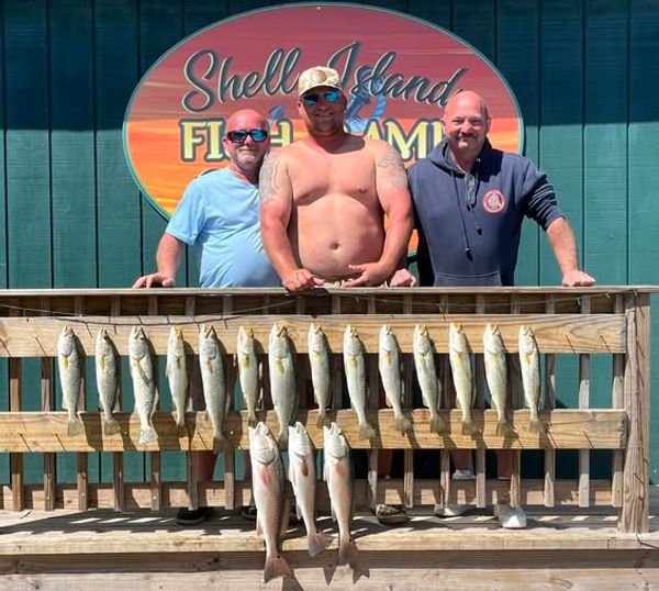 Angry Fish Inshore Charters