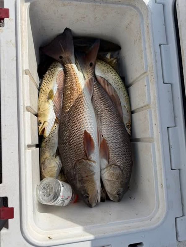 Angry Fish Inshore Charters
