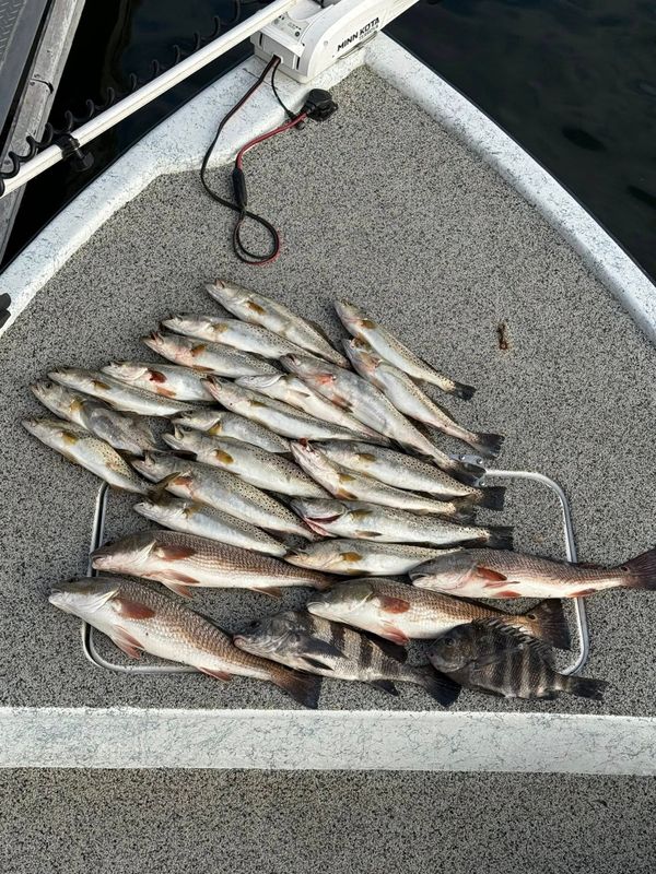 Angry Fish Inshore Charters