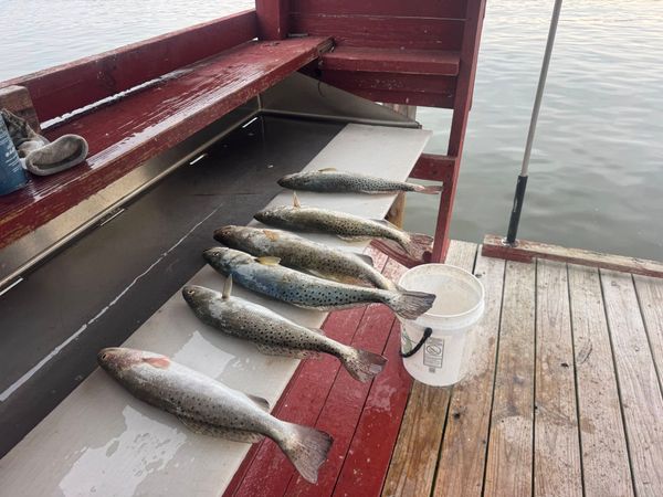 Call Me Fishing