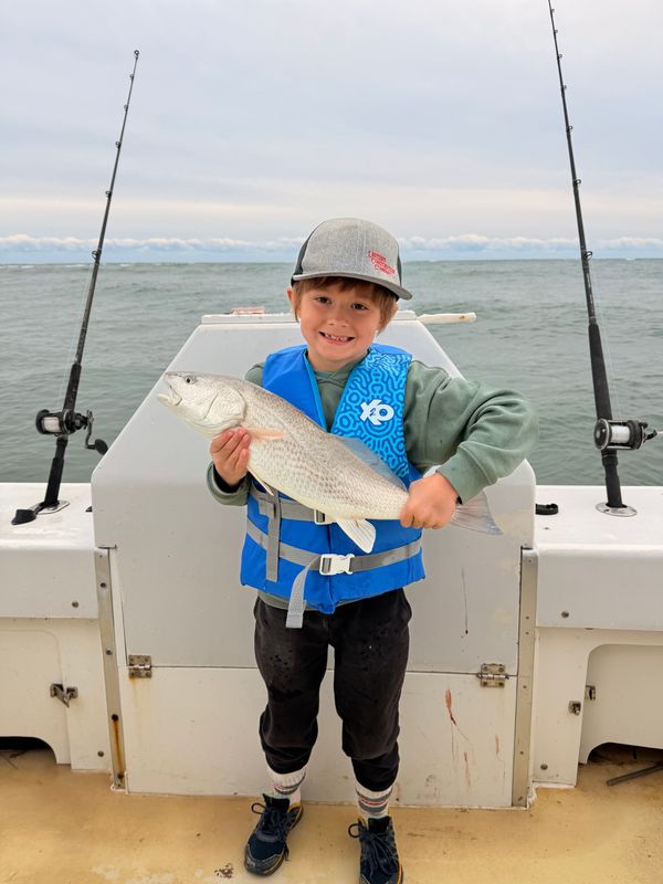 Gecko Sportfishing Charters