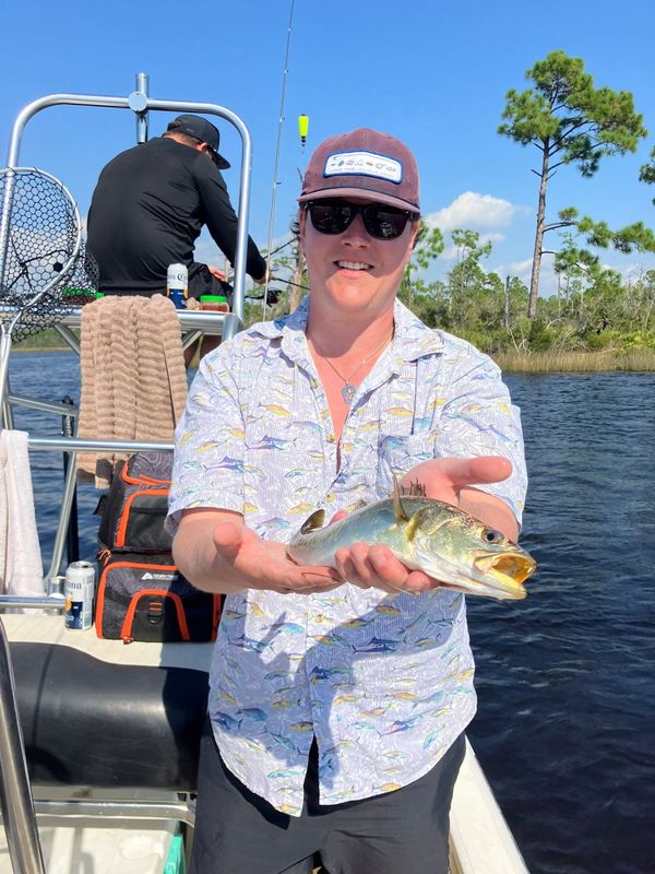 Tops Charters