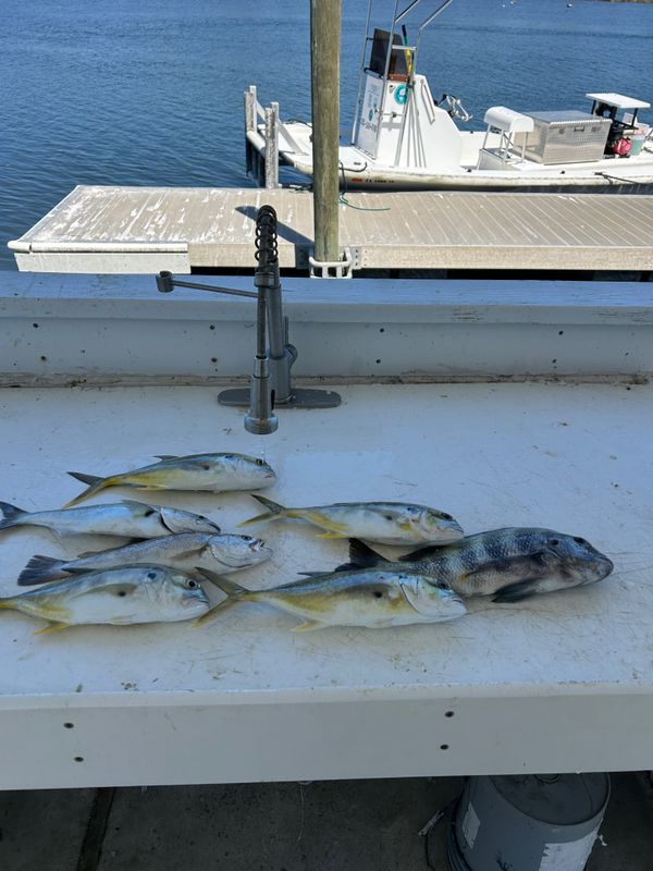 Tops Charters